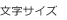 文字サイズ